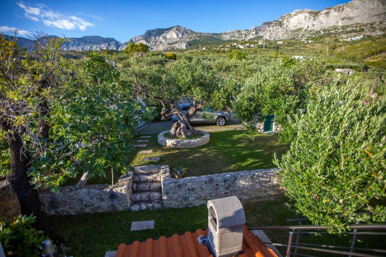 Villa Old Olive, 3Lovelyvillas بودغورا المظهر الخارجي الصورة